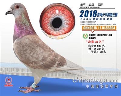 18青海长平公棚78位