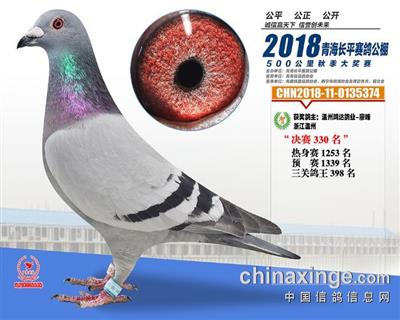 18青海长平公棚330位
