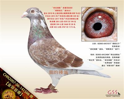 【金环菲蒂】瓦特100%