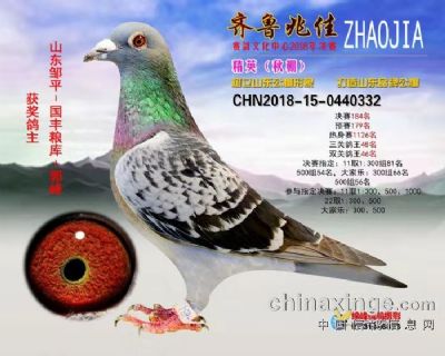 2018年山东齐鲁兆佳精英秋棚决赛184名