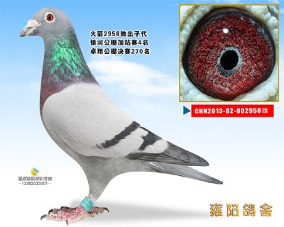 火箭再现 火箭958