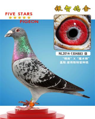 盖斯·彼得斯“悍将”回血，仅供欣赏