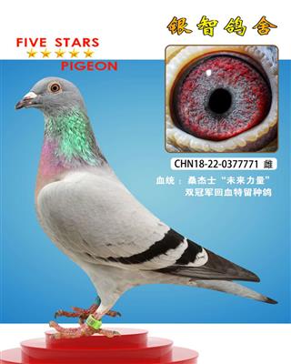 桑杰士“未来力量”只供欣赏，不出售