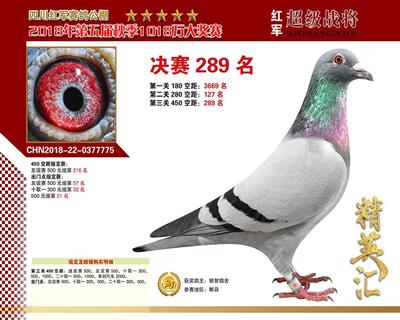 桑杰士“未来力量”只供欣赏，不出售