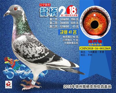 2018年秋 辽宁龍栖公棚 决赛41位