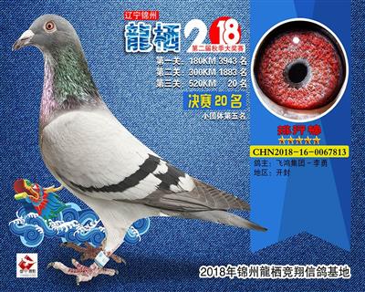 2018年秋 辽宁龍栖公棚 决赛20位