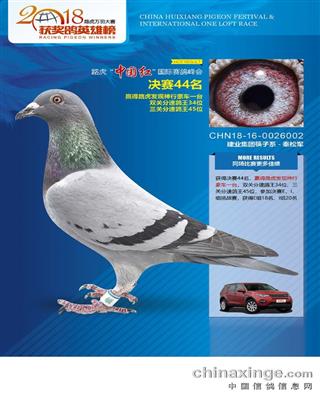 北京惠翔公棚决赛44名