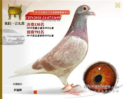范德佛拉斯紫帝号孙代