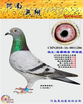 奥翔寄养棚10名（已售株洲）