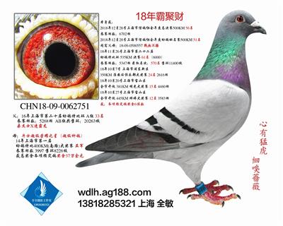 18年霸聚财   已转