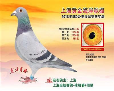 18年黄金加强赛33名