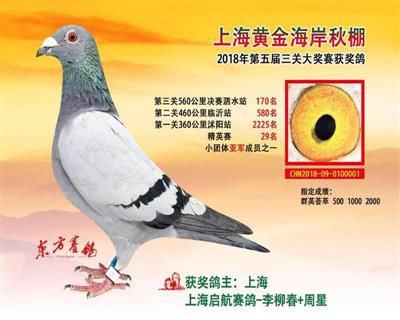 18年黄金决赛170名精英29名