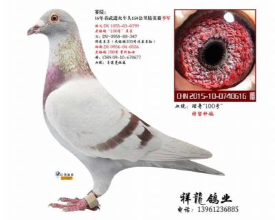 祥龍至尊直女-理奇616