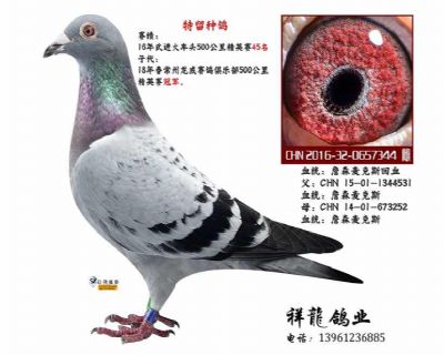 詹森麦克斯81 孙女