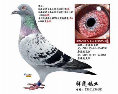 詹森麦克斯81 直孙