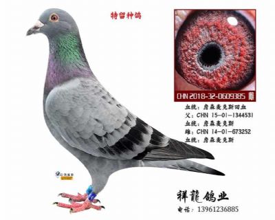 詹森麦克斯81  孙女