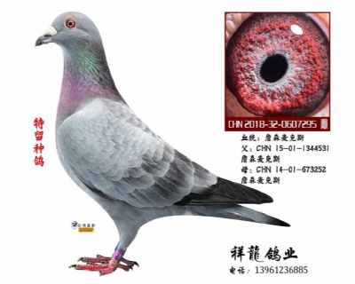 詹森麦克斯81  孙女