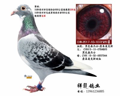 詹森麦克斯81外孙