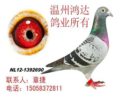克拉克詹森