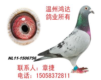 克拉克詹森