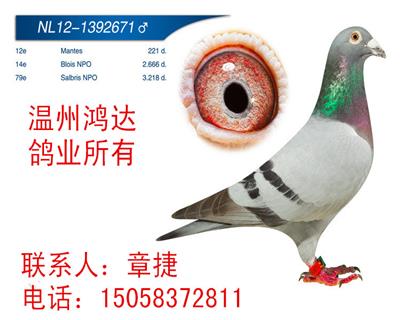 克拉克詹森