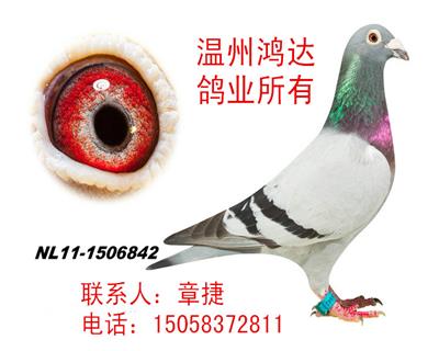 克拉克詹森