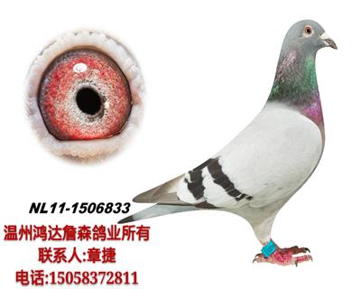 克拉克詹森