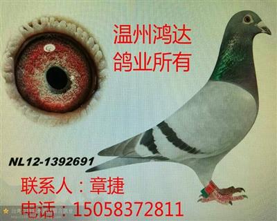 克拉克詹森