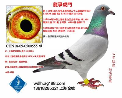 18年上海市幼特8名  已转