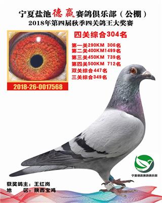 宁夏德赢304位