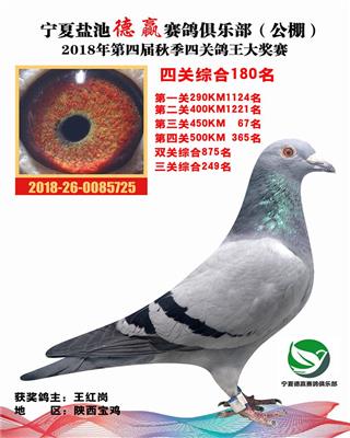 宁夏德赢四关综合180位