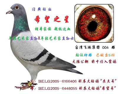 希望之星