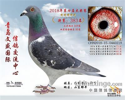 2018年山东文盛公棚决赛383名