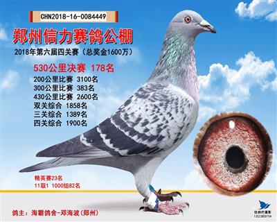 复得号（己售）