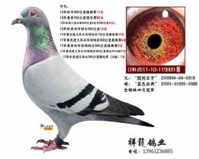 图利王子直女-理奇