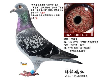 考夫曼“米尔考”孙女