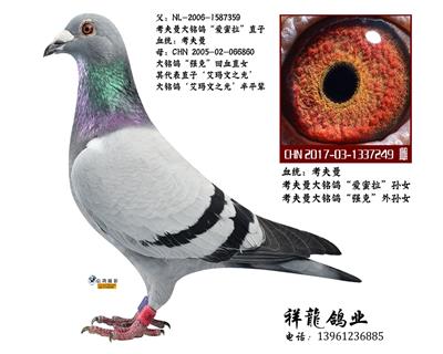 考夫曼“爱蜜拉” 孙女