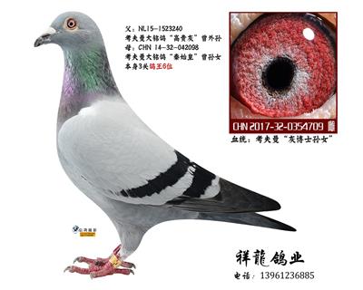 考夫曼“灰博士“孙女