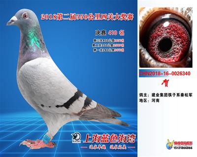 上海蓝色海湾公棚决赛410名