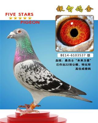 桑杰士“未来力量”