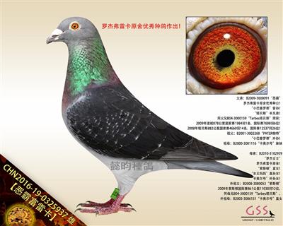 【恶霸富雷卡】