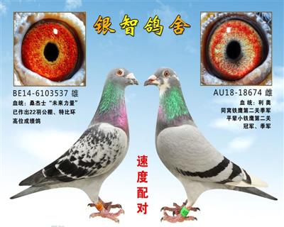 “未来力量/利奥