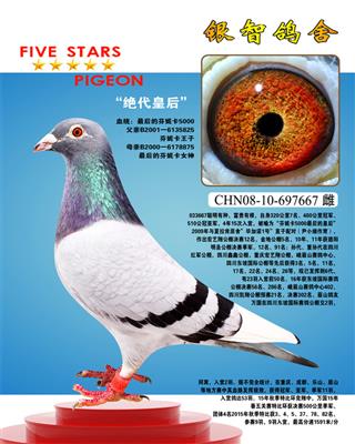 超级金母“绝代皇后”，连续发挥8代