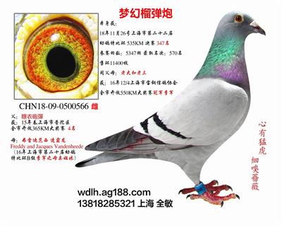 梦幻榴弹炮 已转