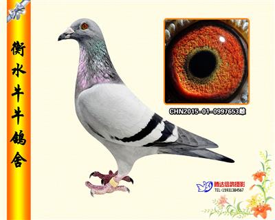 【新年轻克拉克】孙女