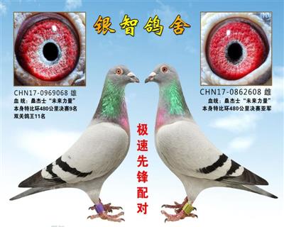 桑杰士“未来号”