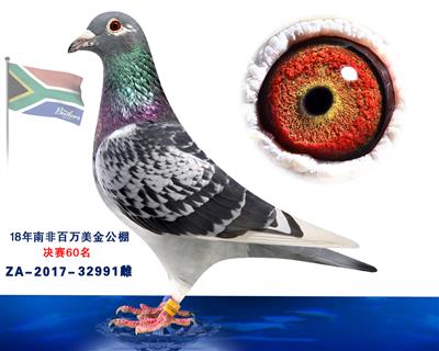 2018南非百万美金60名