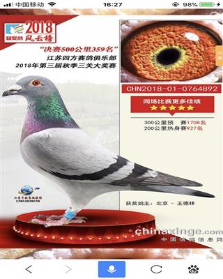 公棚359名奖鸽，