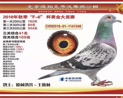 源翔克劳沃公棚奖鸽