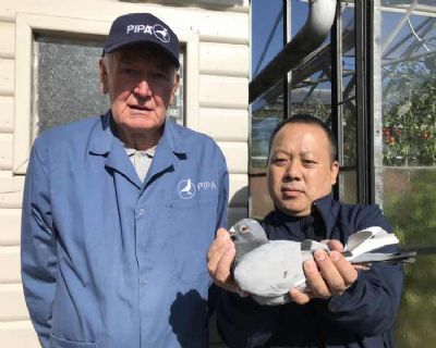 2018年KBDB鸽王4位